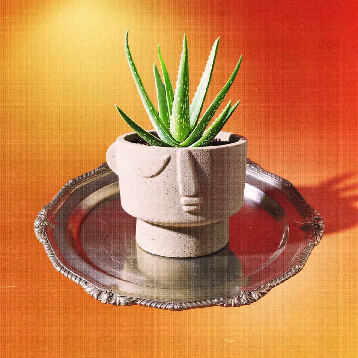 Maceta de cerámica Pórtico 