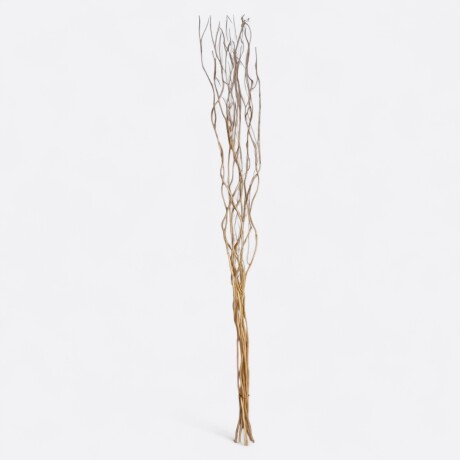 Ramas Secas Frondosas Beige