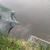 Trampa Red Para Mojarras 4 Bocas Trampa Red Para Mojarras 4 Bocas