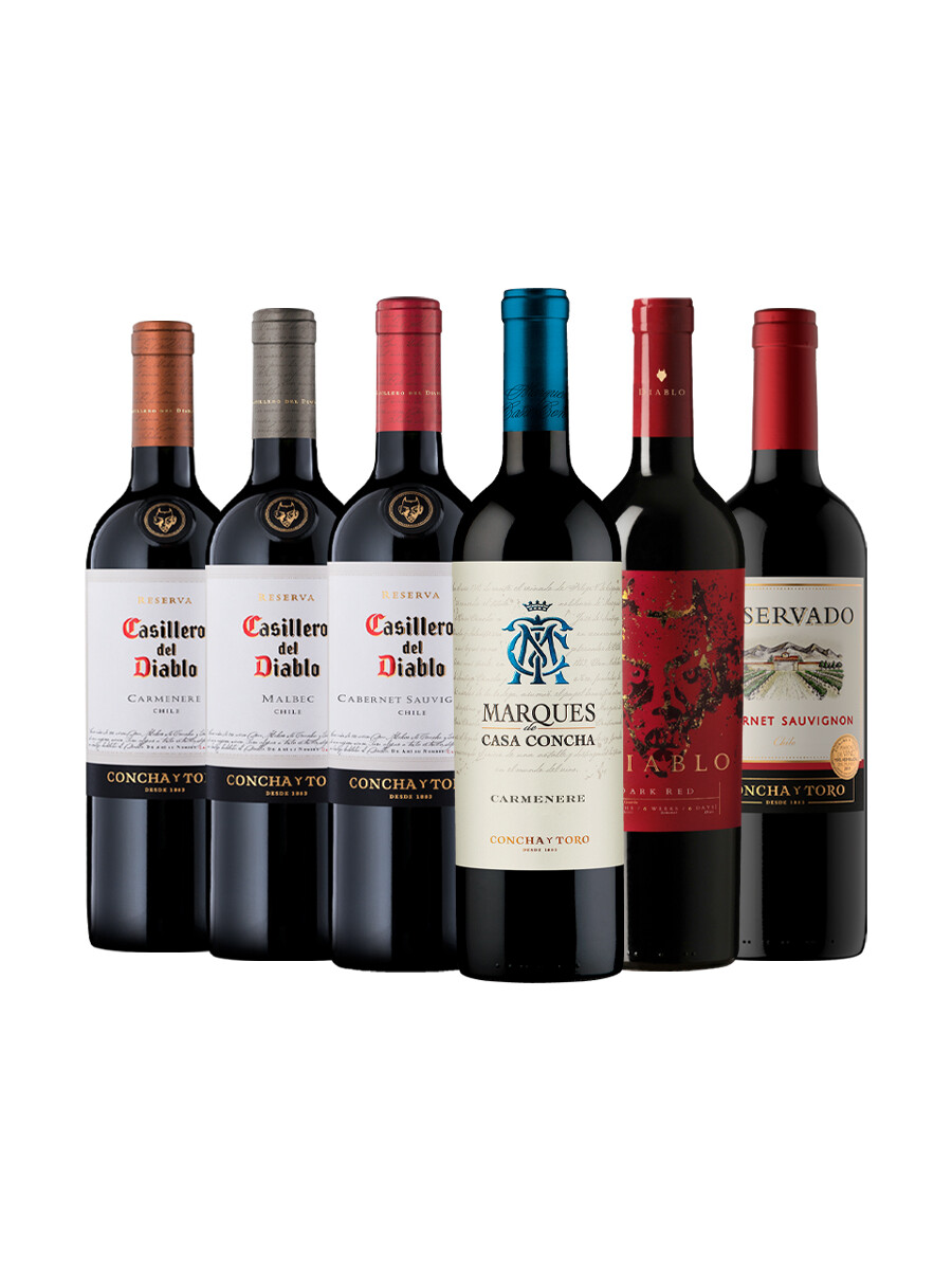 Pack Bacán Selección Vendimia x6 vinos Bodega Concha y Toro Pack Bacán Selección Vendimia x6 vinos Bodega Concha y Toro