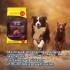 GRAN PLUS GOURMET AD. RAZA MEDIANO GRANDE CORDERO 15 + 1.5 KGS GRAN PLUS GOURMET AD. RAZA MEDIANO GRANDE CORDERO 15 + 1.5 KGS