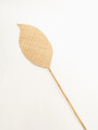 Deco Pared Bai Tan 1 Color Unico