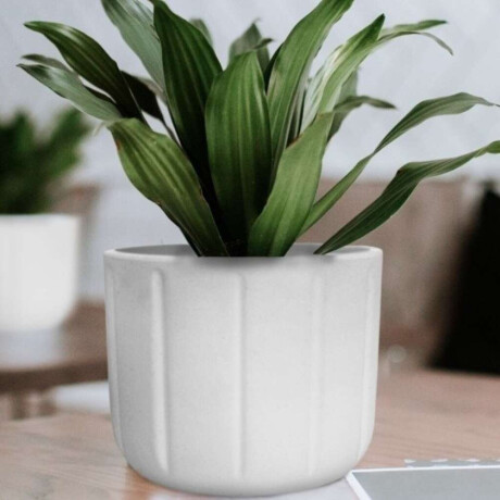 MACETA SPELLO PILASTRI 15X15CM BLANCA