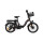 Bicicleta Eléctrica Plegable Voltbike Flex 350 W Rodado 20 Batería de Litio Negro