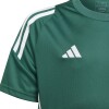 adidas TIRO 24 GREEN