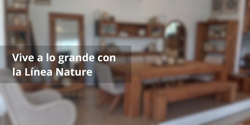 NATURE: EL EQUILIBRIO PERFECTO ENTRE DISEÑO Y CALIDEZ