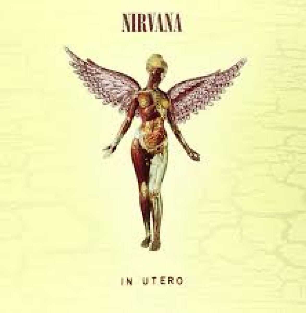 Nirvana - In Utero - Cd 