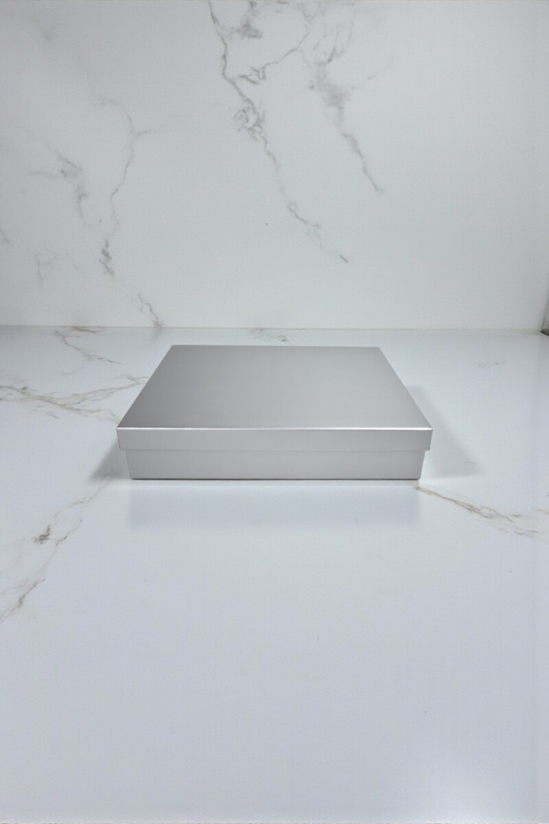 Caja Rigida 19,5 x 29,5 x 5 - PLATA 