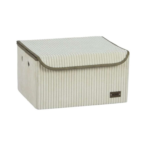 Caja Organizador Rec C/Tapa 40X30Xh22Cm Pana Crudo