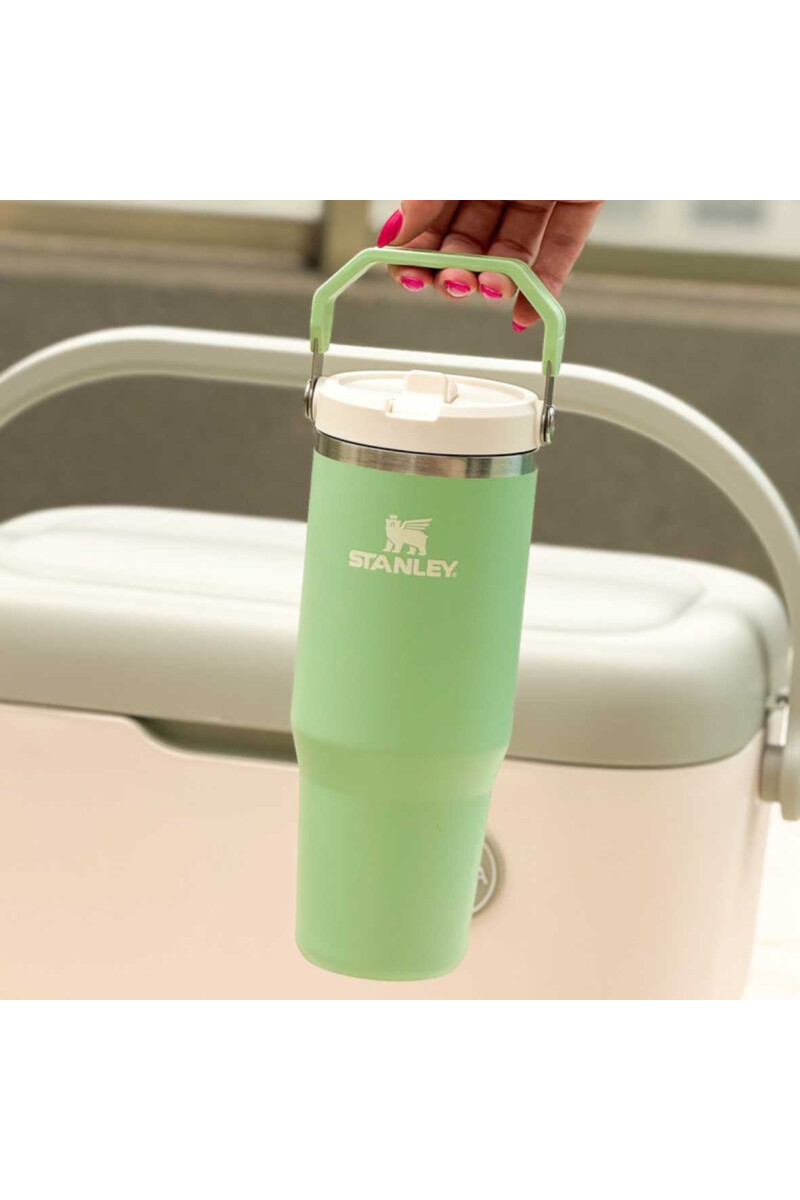FLIP STRAW TUMBLER | 887 ML MIST