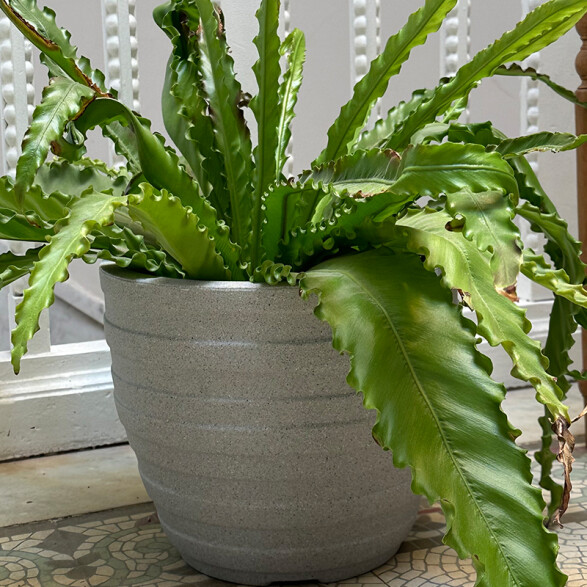 Maceta "INCA" Ø28 x 24cm. piedra granito -TRAMONTINA TD0201