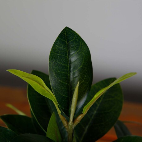 MAGNOLIA ARTIFICIAL Y8 VERDE ARTIFICIAL Y8199-58-4-4PS