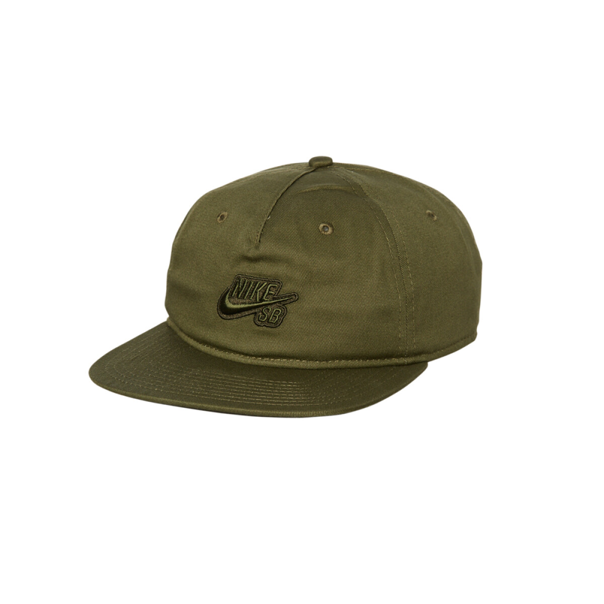 NIKE SB PRO ADJUSTABLE CAP - Green 