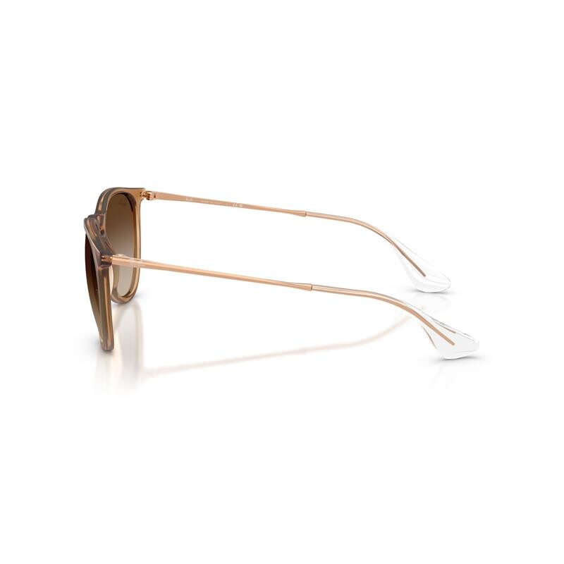 Ray Ban Rb4171 Erika 6814/13