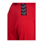 BUZO AUTHENTIC PL HOODIE UNISEX ROJO