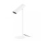 ARTEFACTO DECORATIVO DE MESA<br /> VENICE Luminaria De Mesa Venice Blanca
