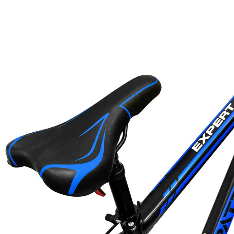 Bicicleta Montaña Expert Patriot Rodado 29 Shimano con Frenos de Disco y 21 Cambios Negro
