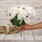 Ramo de 5 Hortensias Blanca