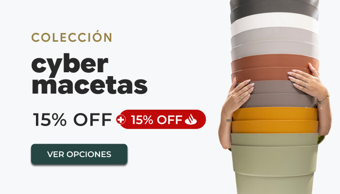 MACETAS