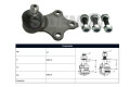 Rotula Del Peug 306 93-25 Der/Izq Rotula Del Peug 306 93-25 Der/Izq
