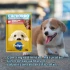 PEDIGREE EN SALSA CACHORRO 85 GRAMOS PEDIGREE EN SALSA CACHORRO 85 GRAMOS
