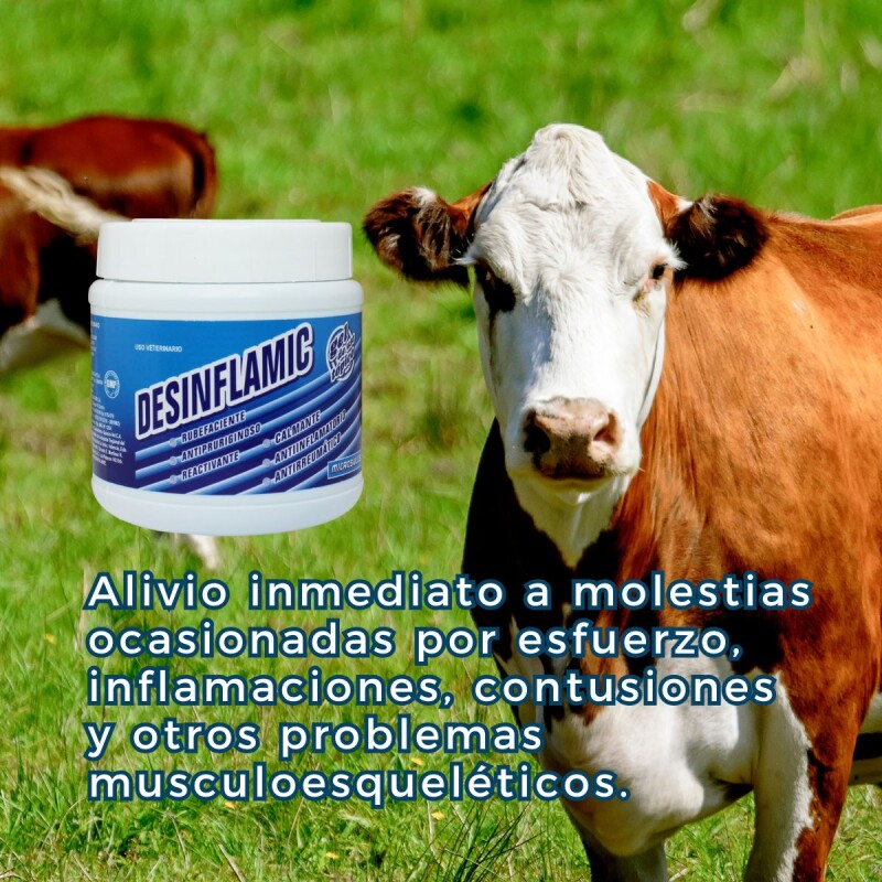 DESINFLAMIC GEL ANTIINFLAMATORIO CALMANTE ANTIREUMÁTICO X 100 GRS DESINFLAMIC GEL ANTIINFLAMATORIO CALMANTE ANTIREUMÁTICO X 100 GRS