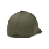 Men's UA Blitzing-BLU GRN-390