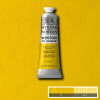 Óleo 37 ml - Winsor & Newton Amarillos