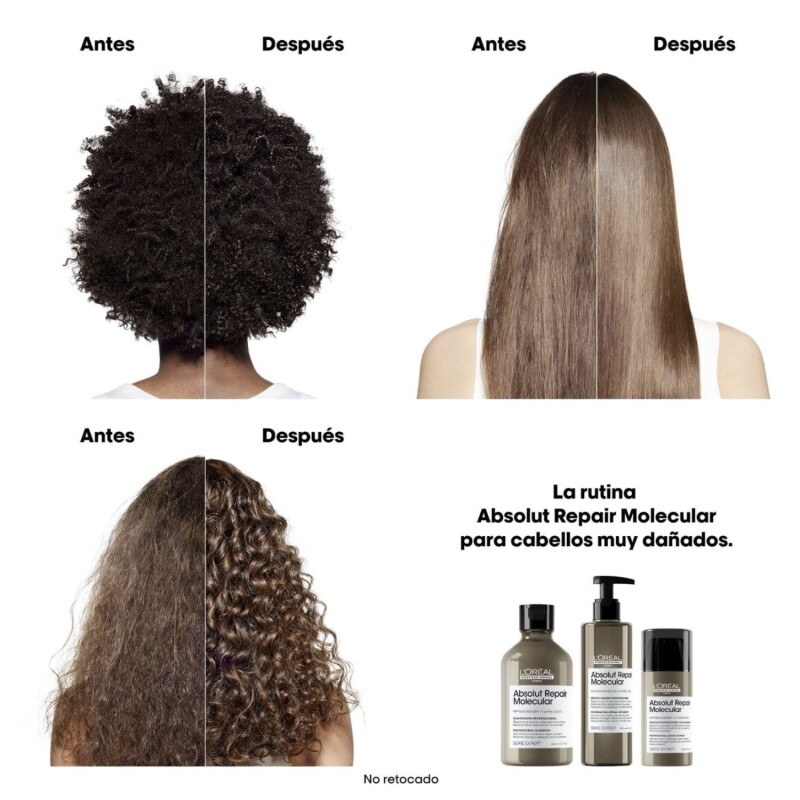 Sérum L'Oréal Professionnel Absolut Repair Molecular Liquid Treatment 250ml Sérum L'Oréal Professionnel Absolut Repair Molecular Liquid Treatment 250ml