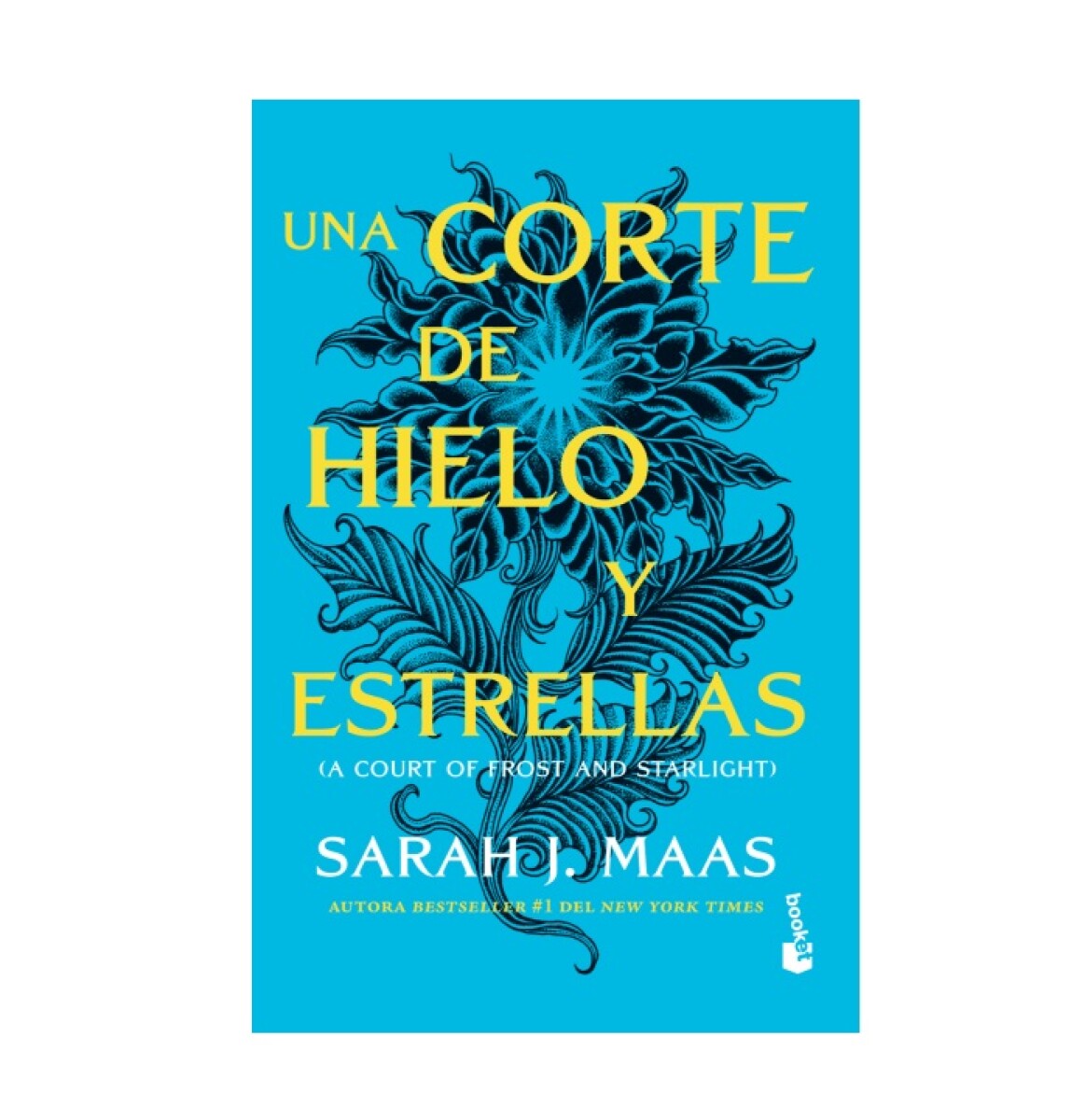 UNA CORTE DE HIELO Y ESTRELLAS (BK) 