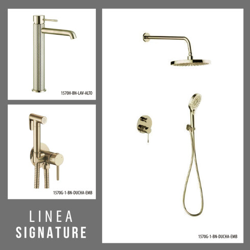 JUEGO DE GRIFERIA LAVATORIO ALTO DUCHA EMBUTIDA Y DUCHA HIGIENICA Brushed Nickel 000