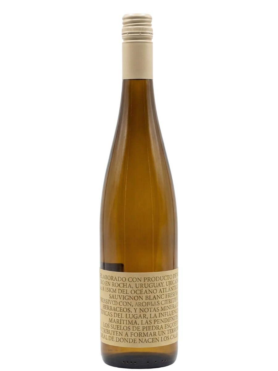 Los Cabos Sauvignon Blanc 