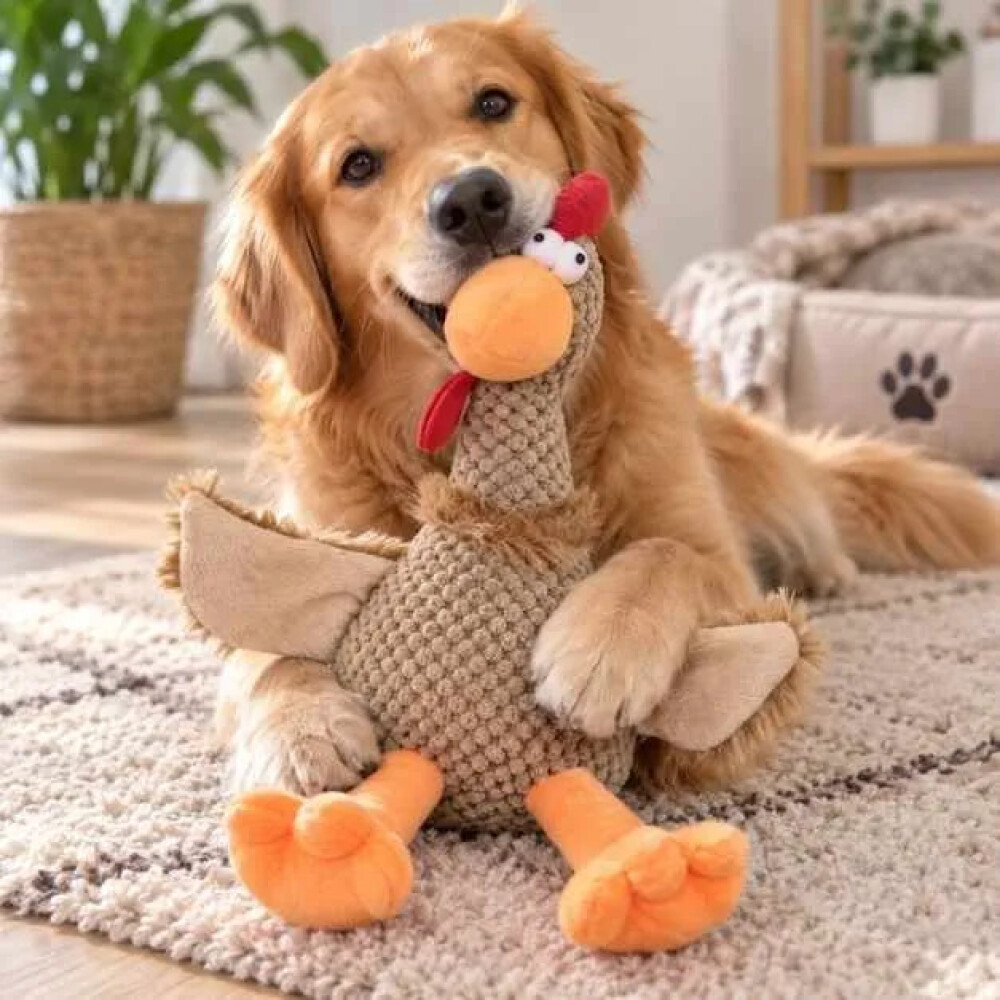 Peluche Para Mascotas Gallo Con Sonido 35 Cm Peluche Para Mascotas Gallo Con Sonido 35 Cm