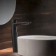 LAVATORIO MONOCOMANDO ALTO MATE EPUYEN NEGRO BAÑO 2.0 L NEGRO