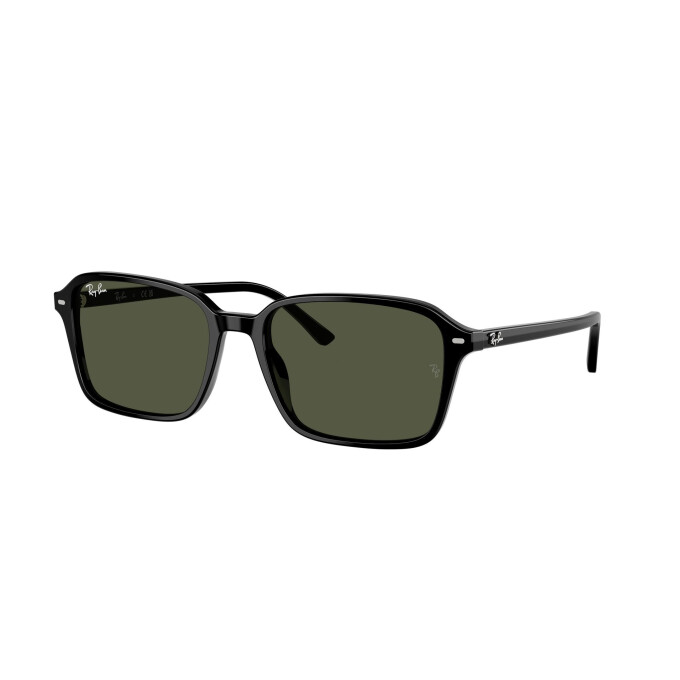 Rayban 2231 Negro
