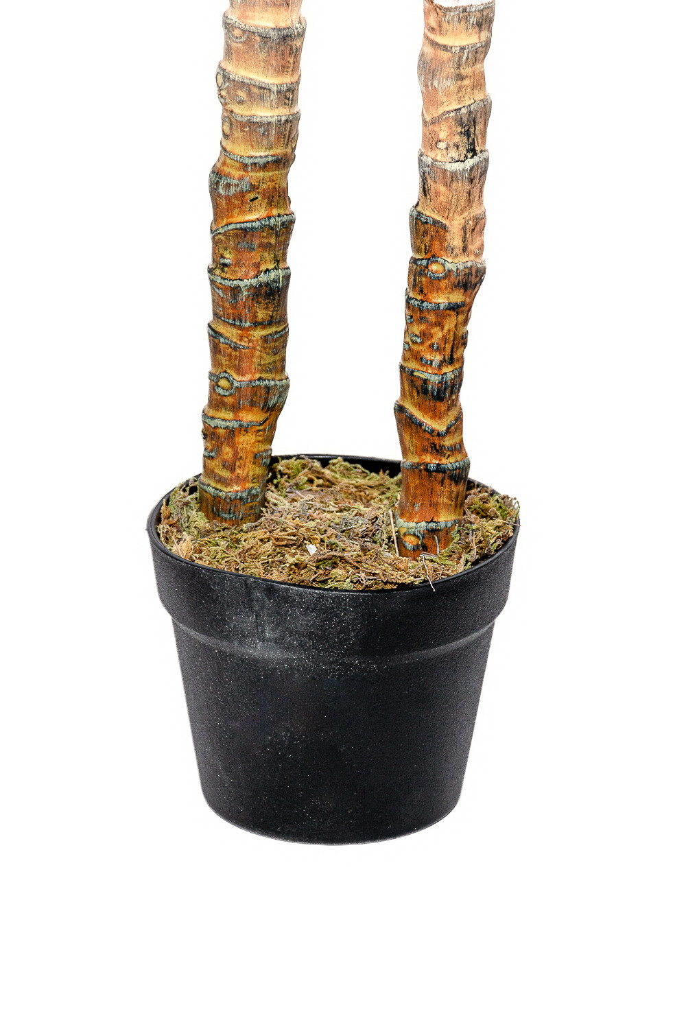 Planta Mandioca 130cm Color Unico