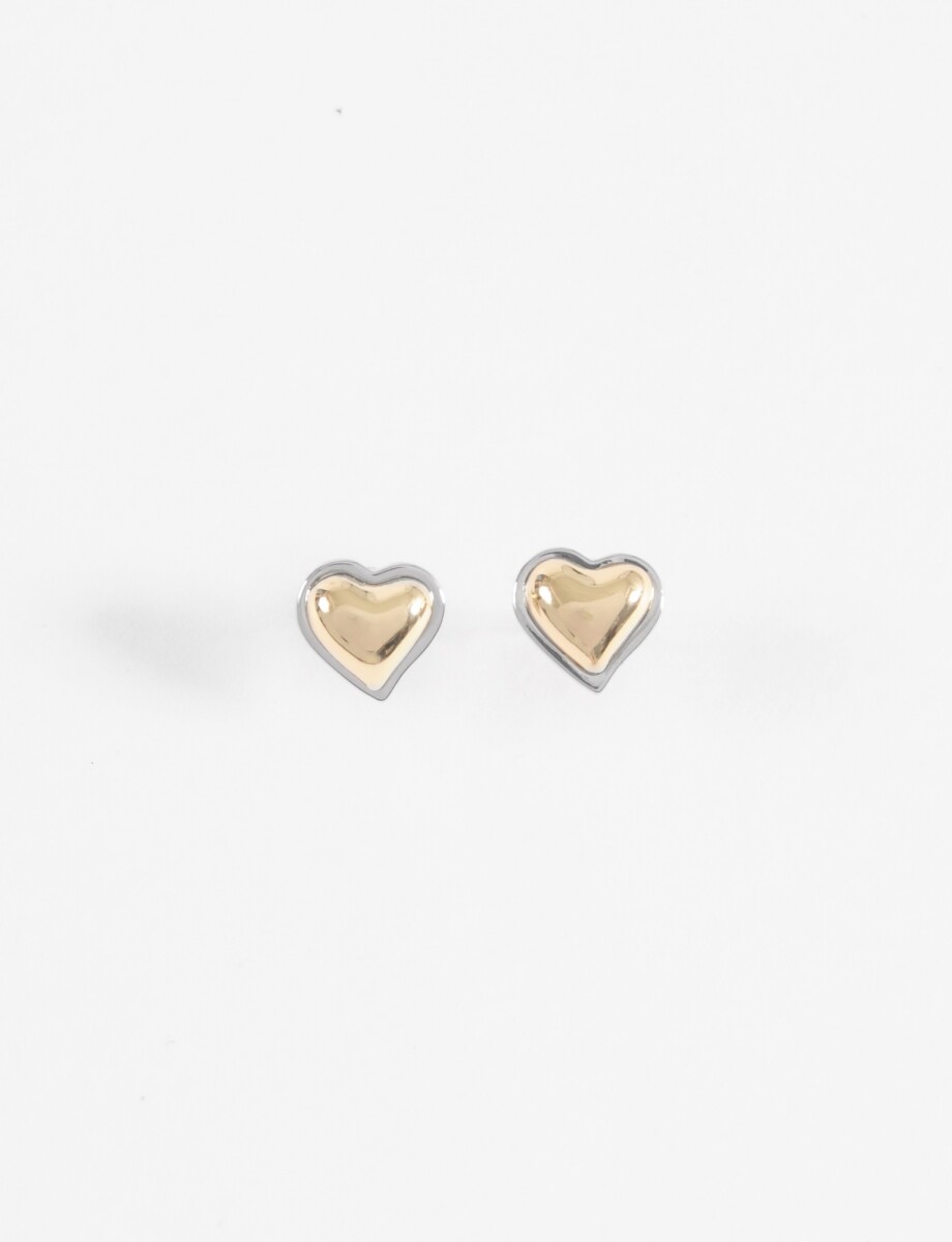 Caravanas cora bicolor - plateado 