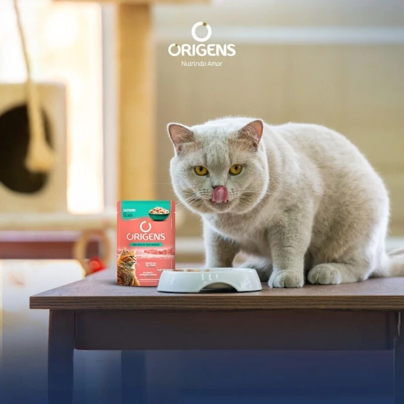 SALSA ORIGENS PARA GATOS CASTRADOS 85 GR. TRACTO URINARIO SALMON