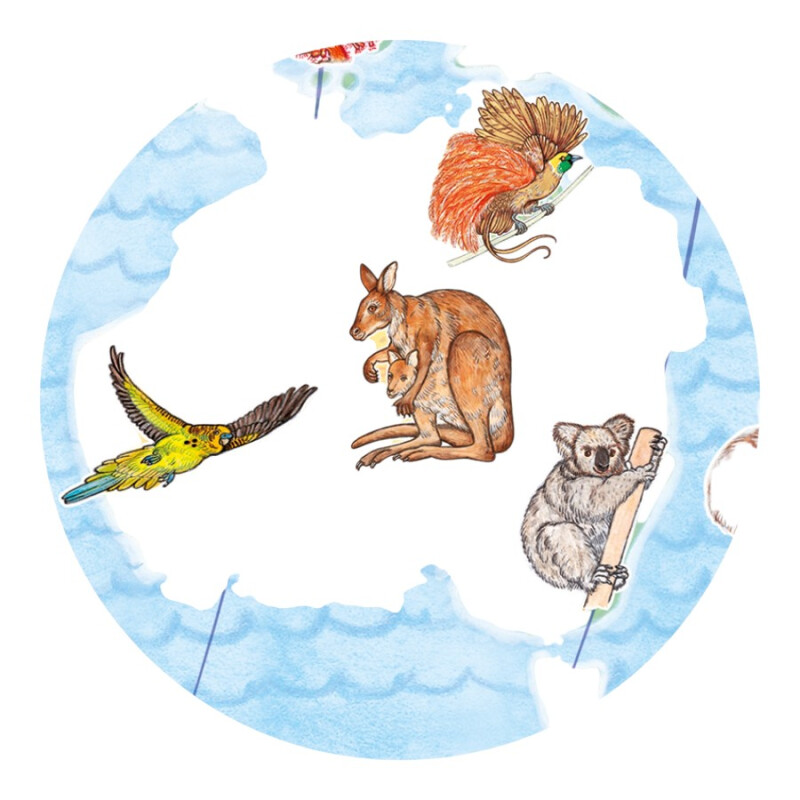 Puzzle Observación Animales del Mundo Djeco Puzzle Observación Animales del Mundo Djeco