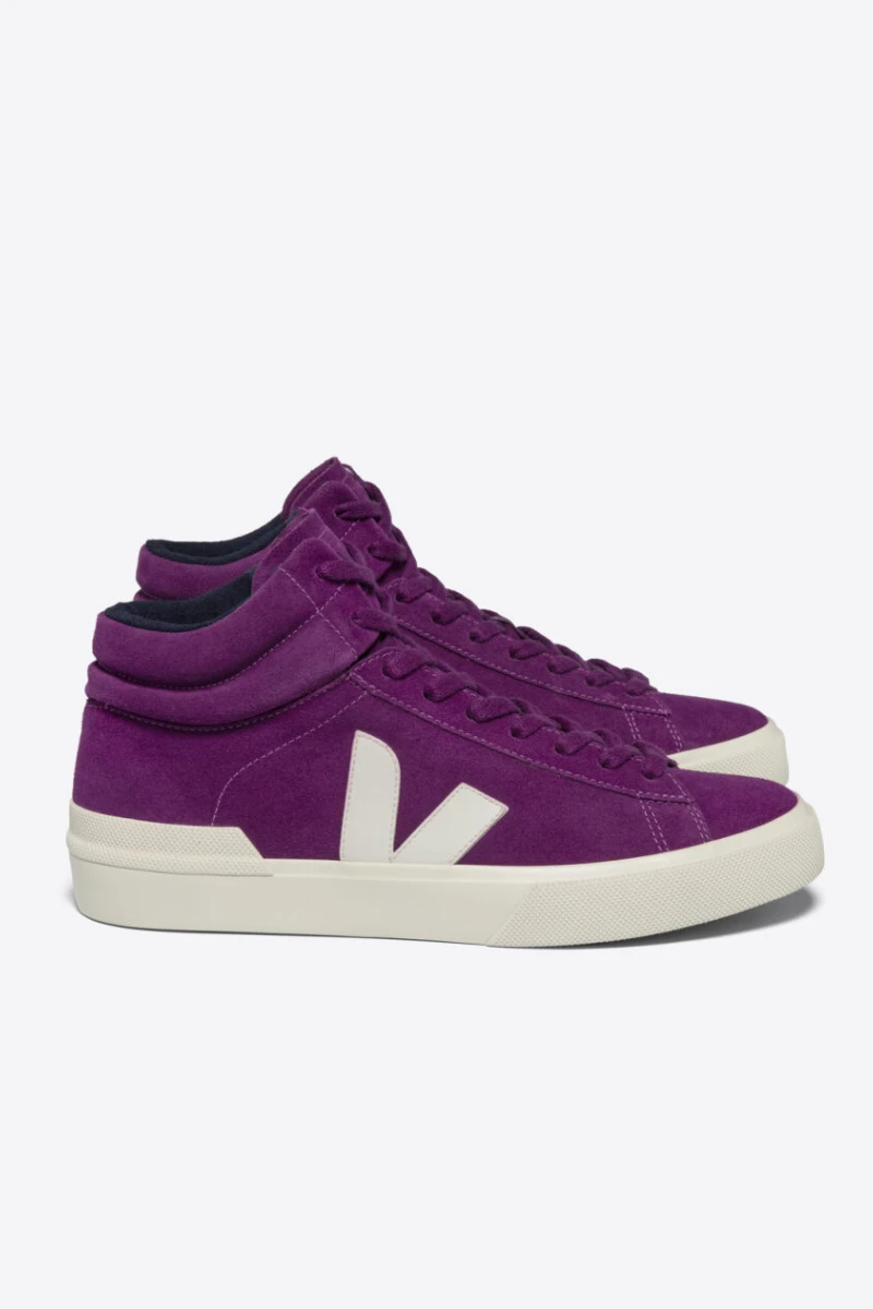 MINOTAUR Violeta