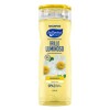 Shampoo Ballerina Sin Sal 750ml Brillo Luminoso