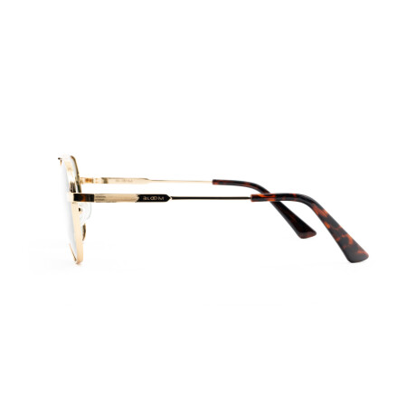 Lentes de Sol Bloom Polarizado PZ5036 Unisex Verde