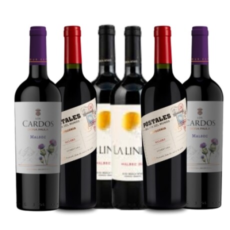 Selección Malbec Jóvenes Selección Malbec Jóvenes