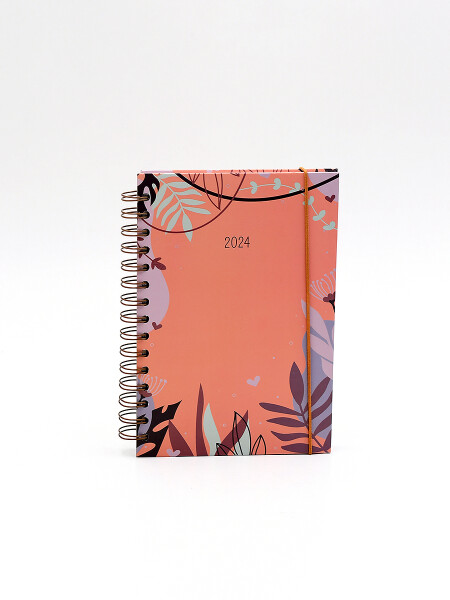 AGENDA 2024 CHLOE SALMON