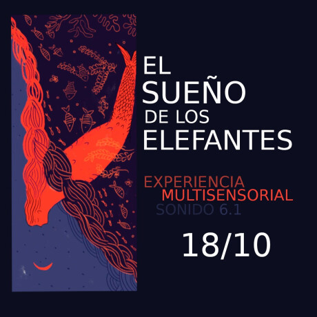 El Sueño de los Elefantes Sentadas 17 hs