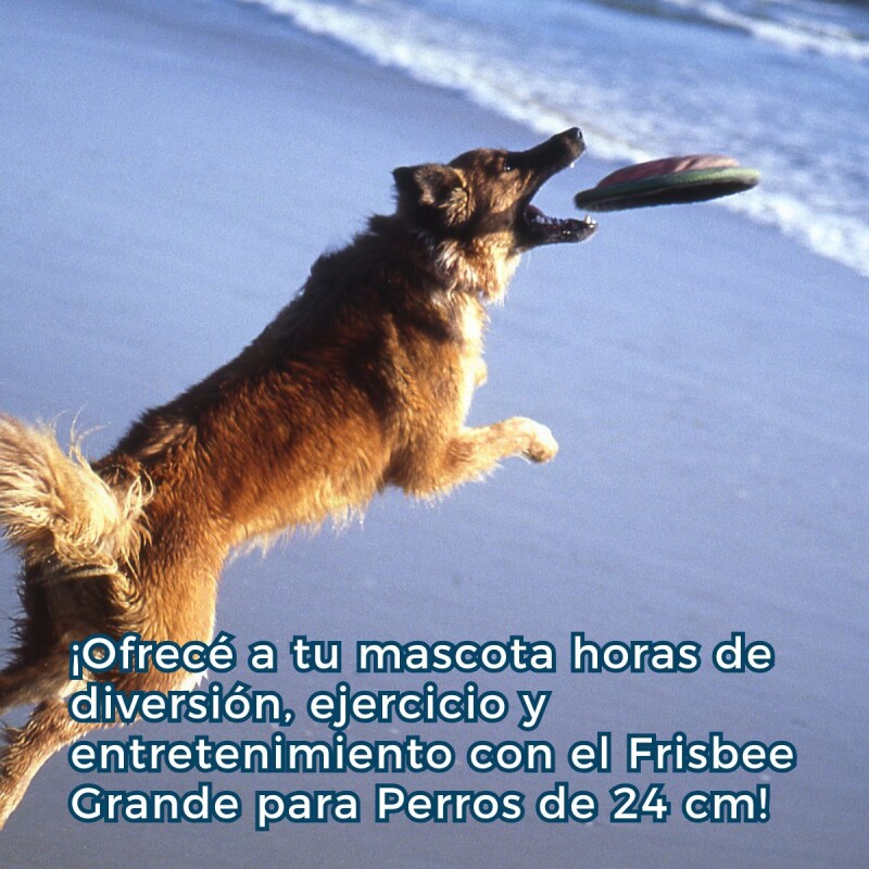 JUGUETE FRISBEE GRANDE 24 CM PARA PERROS JUGUETE FRISBEE GRANDE 24 CM PARA PERROS