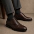 Zapato Oxford Tabacco