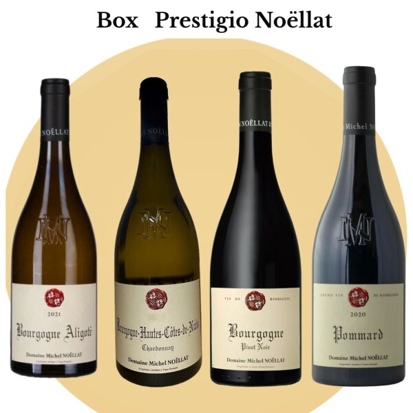 Box Prestigio Noëllat Box Prestigio Noëllat