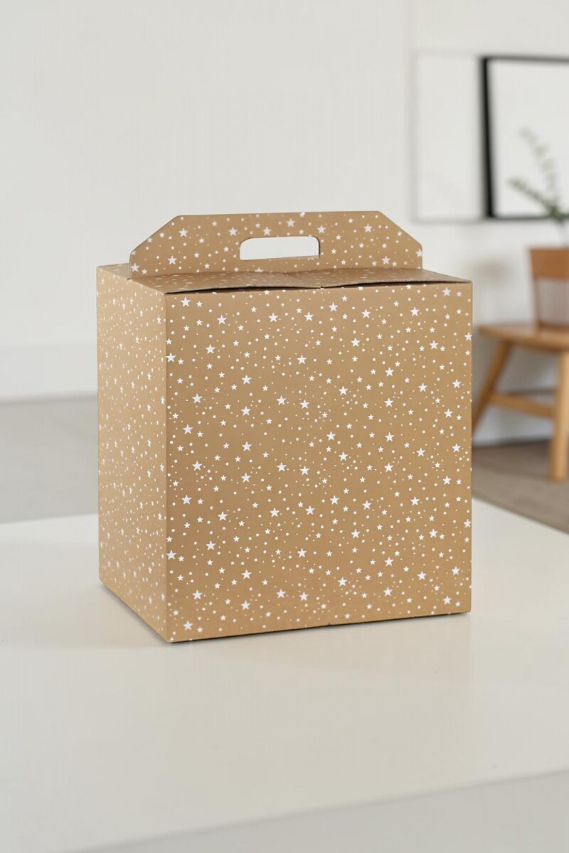 Caja Rígida Premium 33x25x35 cm - 36542 - GALAXY 