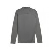CAP Train 1/4 Zip Top Grey